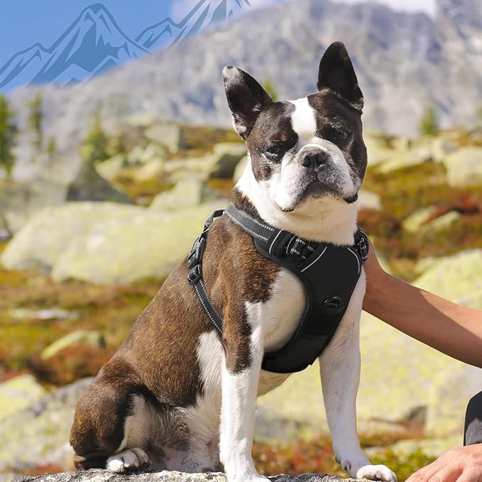 Eagloo Dog Harness Medium Sized Dog, No Pull Service Vest with Reflective Strips and Control Handle, Adjustable and Comfortable for Walking, No Choke Pet Harness with 2 Metal Rings, Black, M-Mewly Pet