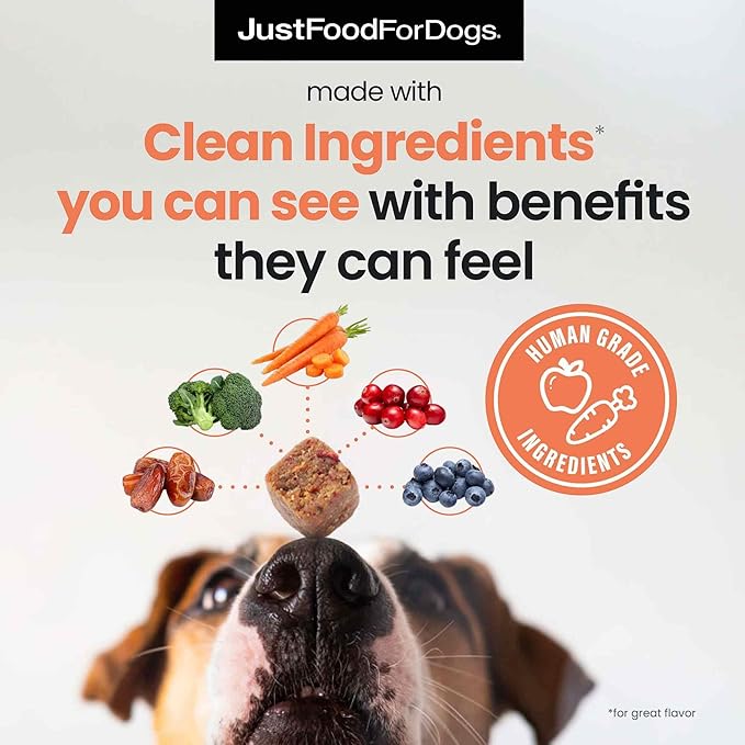 JustFoodForDogs 10-in-1 Multifunctional Supplement Chews for Dogs, Superfood Blend, Glucosamine, Omega-3 Fatty Acids, Skin Health, Joint Health, Probiotics, Plant-Based, Human Grade - 45 Count-Mewly Pet