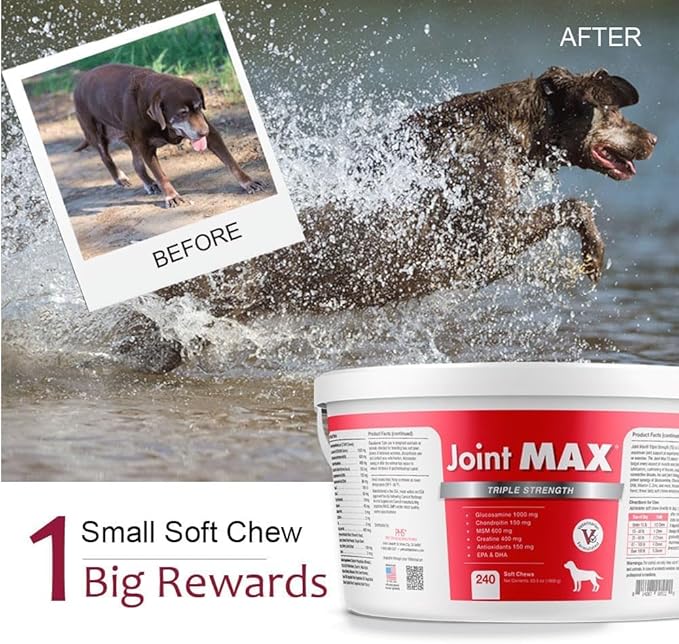 TS Joint Supplement Vet Formulated Pain & Inflammation Relief Treats Hip Dysplasia & Arthritis.Glucosamine, Chondroitin, Turmeric, MSM, HA, Creatine, Omega 3 EPA+DHA. All Dogs 240 Soft Chews-Mewly Pet