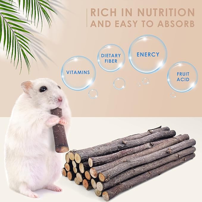 Bissap 120g/4.2oz Apple Sticks for Rabbits, Natural Bunny Chew Toys and Treats for Chinchilla Guinea Pig Hamster Gerbil Small Animals Pet Apple Wood Stick Toys Teeth Grinding-Mewly Pet