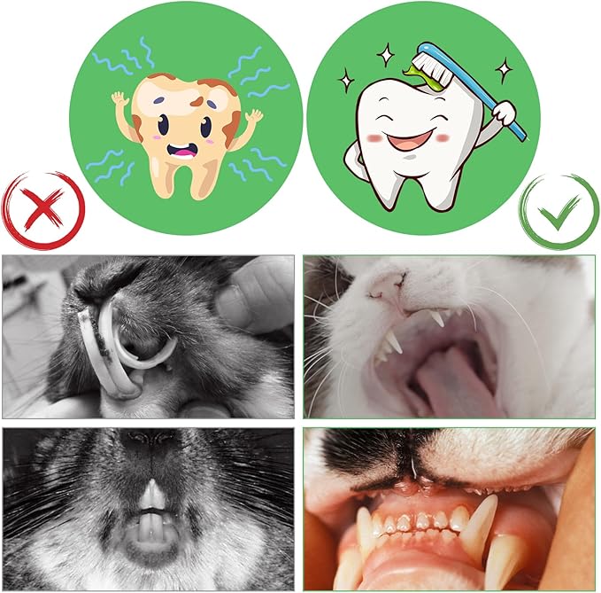 1000g/2.2lb Bamboo Chews for Rabbits, Rabbit Sticks Rabbit Chew Toys Bunny Chew Toys, Molar Treats for Small Animals, Hamsters, Chinchillas, Guinea Pigs, Natural Teeth Grinding Toys-Mewly Pet