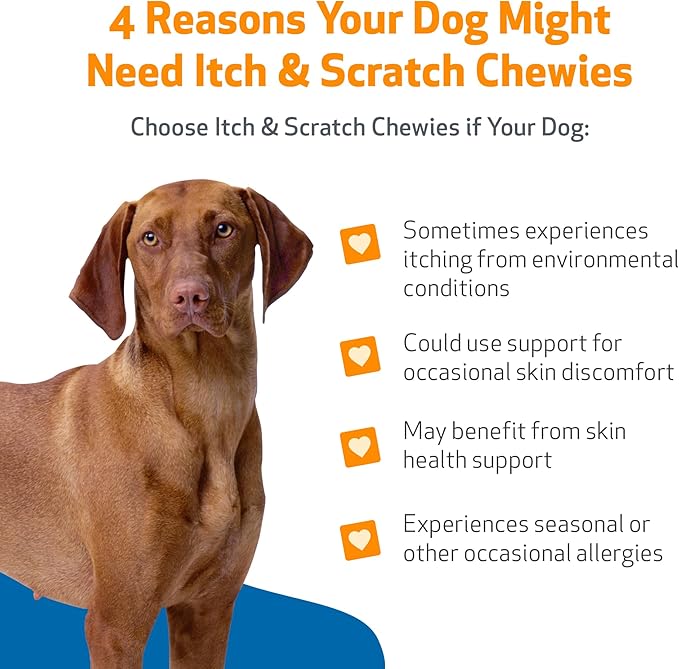 Pet Wellbeing Itch & Scratch Chewies for Dogs - Supports Healthy Itch Response to Occasional Skin Allergies, Skin Health, Chinese Pearl Barley, Phellodendron - Veterinarian-Formulated 90 Soft Chews-Mewly Pet