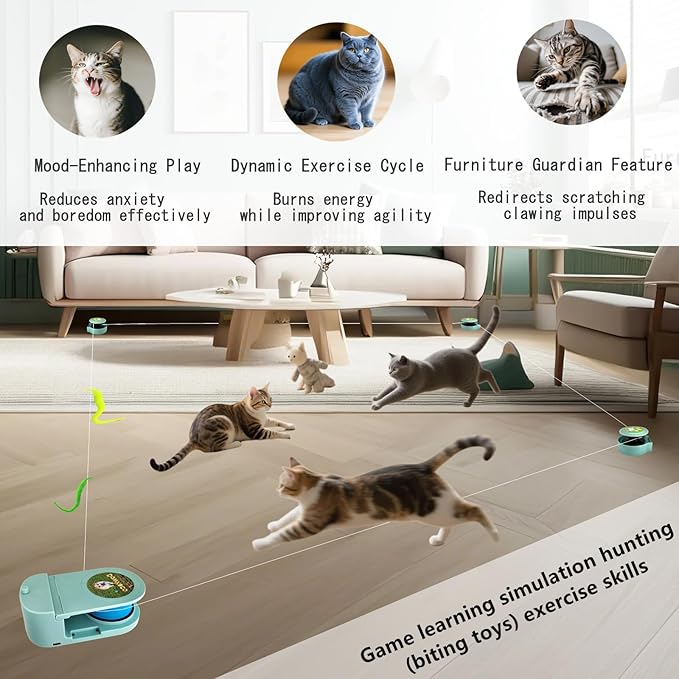 Wireless Remote Control Interactive Cat Toy for Indoor Cats, Self-Moving Worm Plush Mouse Chase Toy, Automatic Prey Simulation with Adjustable Speed, Durable & Rechargeable Kitten Exercise Toy-Mewly Pet