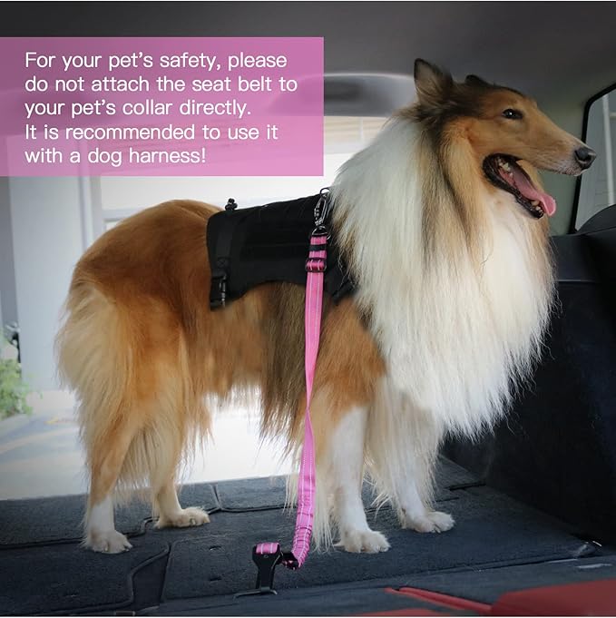 AUBELL Dog Seat Belt for Car,Updated 3-in-1 Adjustable Reflective Bungee Heavy Duty Dog Car Harness Tether with Clip Hook Latch & Buckle,Swivel Zinc Alloy Carabiner,Hotpink-Mewly Pet