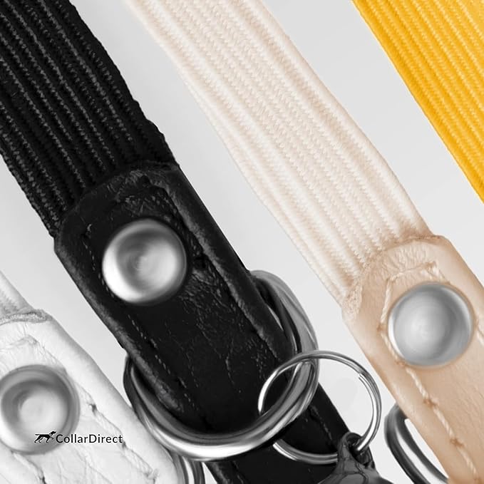 CollarDirect Leather Cat Collar, Cat Safety Collar with Elastic Strap, Kitten Collar for Cat with Bell Black Blue Red Orange Lime Green (Neck Fit 6"-7", Mint Green)-Mewly Pet