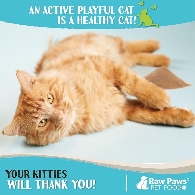 Raw Paws Silvervine Powder, 75 Grams - 2X More Attractive than Catnip for Cats, 100% Silver Vine Gall Fruit Powder, Matatabi Silvervine Cat Toy for Indoor Cats, Catnip Kitten Toys, Silvervine for Cats-Mewly Pet