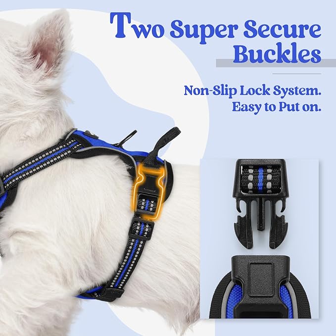 rabbitgoo Dog Harness No Pull with 2 Leash Clips, Adjustable Soft Padded, Reflective Oxford No Choke Pet Vest with Easy Control Handle for Puppy, Dazzling Blue,XS-Mewly Pet
