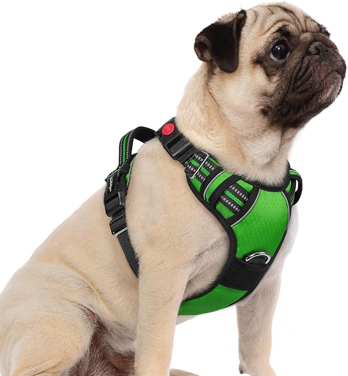 rabbitgoo Dog Harness Small Sized, No Pull Dog Vest with 3 Buckles, Adjustable Soft Padded Pet Harness with Easy Control Handle and Reflective Strips, Green, S-Mewly Pet
