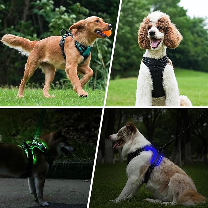 Taglory Light Up Dog Harness, Rechargeable No Pull Dog Vest with 3 Lightning Modes, Reflective Dog Harness with 2 Leash Clips & 4 Adjustable Slide Strips for Medium Dogs, Turquoise-Green, M-Mewly Pet