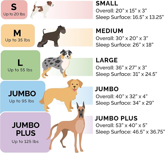 Furhaven Memory Foam Dog Bed for Medium/Small Dogs w/ Removable Bolsters & Washable Cover, For Dogs Up to 35 lbs - Plush & Woven Decor Comfy Couch Sofa - Diamond Blue, Medium-Mewly Pet