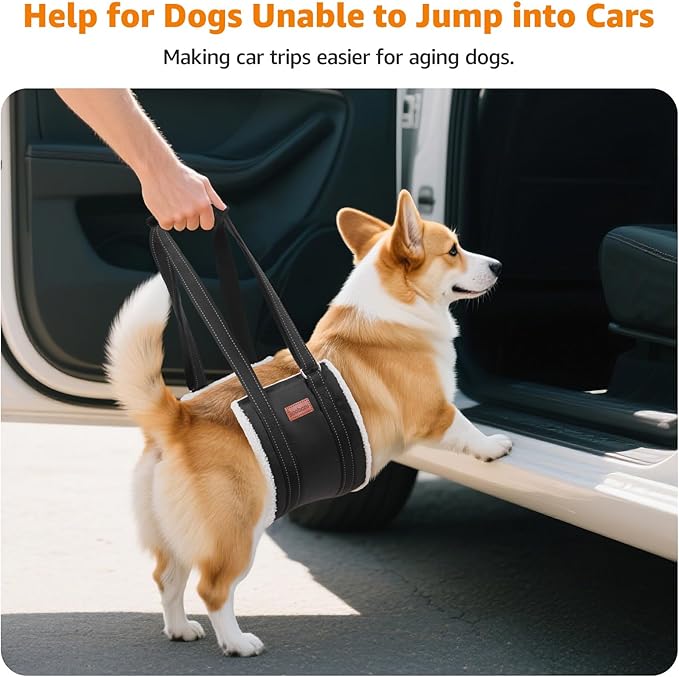 LOOBANI Portable Dog Sling for Back Legs, Hip Support Harness to Help Lift Dogs Rear for Canine Aid and Old K9 Cruciate Ligament Rehabilitation-Mewly Pet