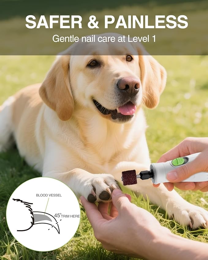 WORKPRO 6-Speed Dog Nail Grinder, Pet Nail Grinder for Small, Medium, and Large Dogs and Cats, 70 Accessories Rotary Tool with Type-C Charging Cable and Storage Bag for Sanding, Carving, and Polishing-Mewly Pet