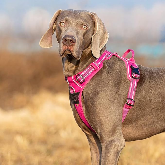 TRUE LOVE Dog Harness No Pull Nylon Reflective Pet Harness Adjustable Comfortable Control Step-in Brilliant Colors Truelove TLH56512-Mewly Pet