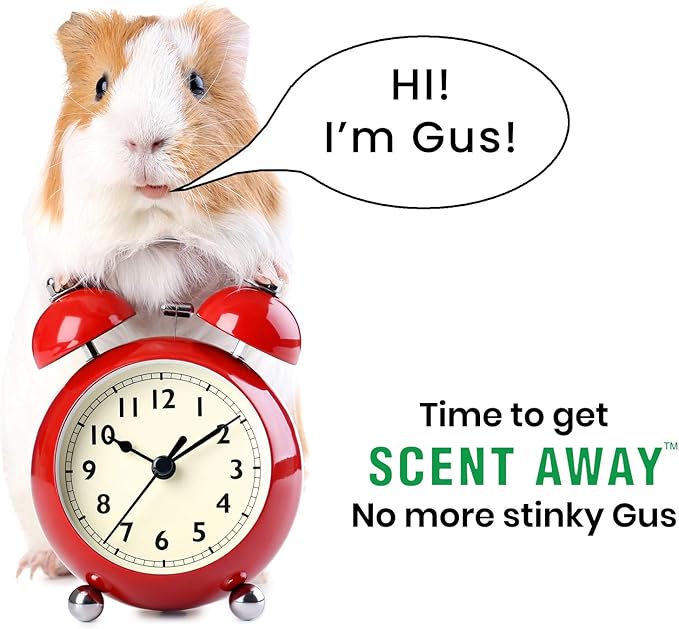 | Small Animal Bedding Deodorizer | 100% Natural & Fragrance Free, Non-Toxic Pet Odor Eliminator for Home | Active Carbon & Zeolite Extends Pet Bedding Life | Deodorizer for Pets 4lbs-Mewly Pet