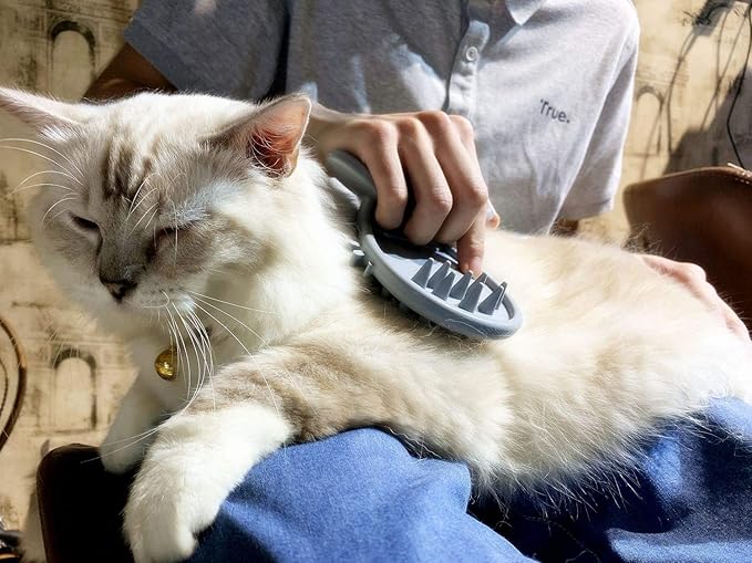 Cat Brush Shedding Grooming, Soft Massage Cat Tongue Brush, Licking Your Cat Like a Mama Cat to Comfort, Surprise Pet Gifts-Mewly Pet