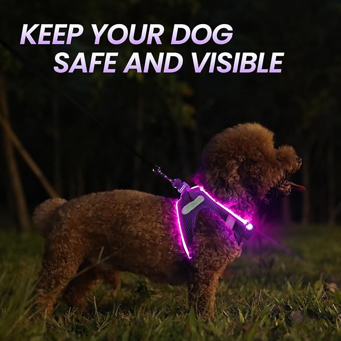 PceoTllar Light Up Dog Harness, LED No Pull Reflective Dog Harness, Flashing Lighted for Night Walking - Small/Medium, (Puplr,S)-Mewly Pet