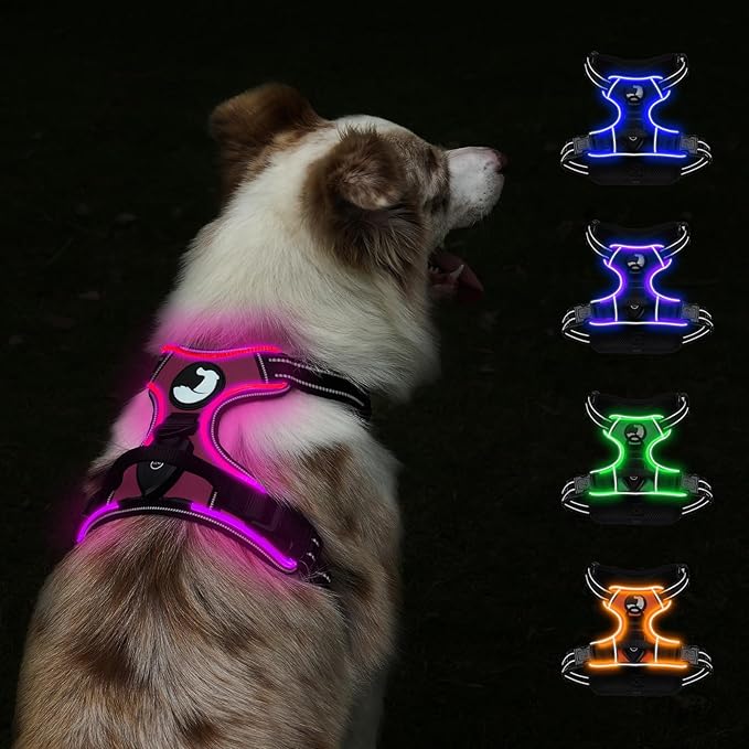 Taglory Light Up Dog Harness, Rechargeable No Pull Dog Vest with 3 Lightning Modes, Reflective Dog Harness with 2 Leash Clips & 4 Adjustable Slide Strips for Medium Dogs, Hotpink-Hotpink, M-Mewly Pet