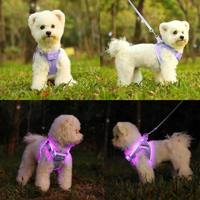 Light Up Dog Harness,Rechargeable LED Dog Harness for Small Medium Large Dogs,Reflective Lighted Safety Vest for Night Walking & Camping,Lightweight & Adjustable,Lavender Purple,M-Mewly Pet