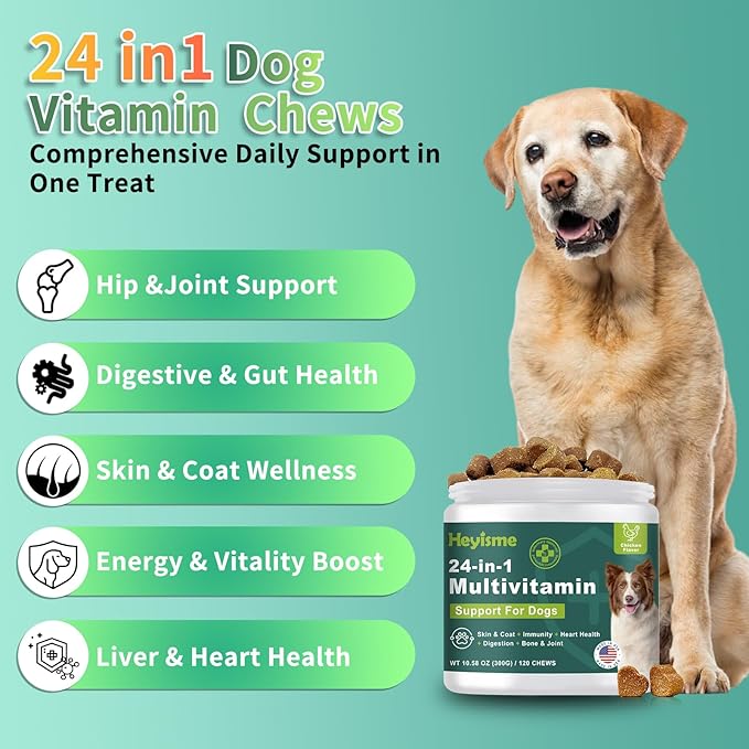Dog Multivitamin, Glucosamine Chondroitin for Dogs, Dog Vitamins and Supplements, Probiotics, Krill Oil for Hip & Joints, Skin, Coat, Immune Health, Heart, Digestion (120 Chews, Chicken)-Mewly Pet