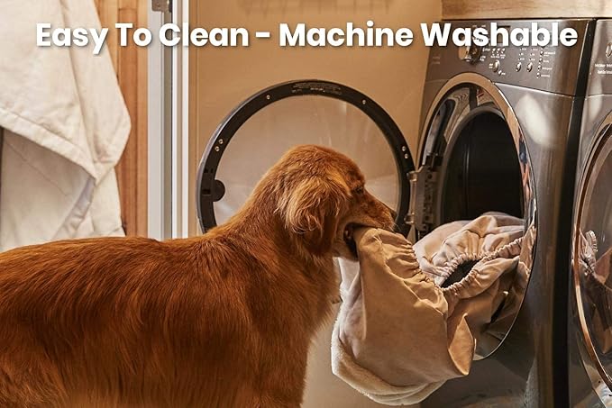 K9 Ballistics Tough Ripstop Orthopedic Rectangle Dog Bed Removable Washable Cover, Solid Orthopedic Foam for Size XXL Giant Big Dogs 68"x40", Blue Quartz-Mewly Pet