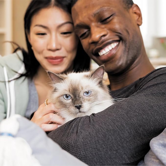 IAMS Proactive Health Adult Healthy Dry Cat Food with Real Salmon, 3.5 lb. Bag-Mewly Pet