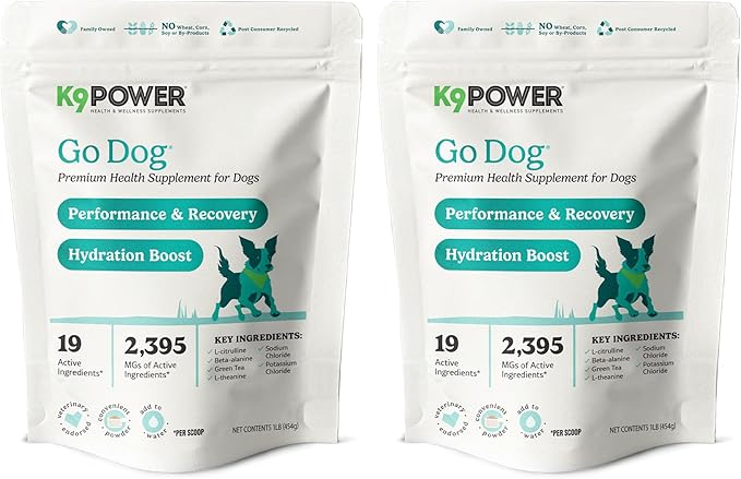 K9 Power Go Dog Hydration & Performance Drink Mix 1 lb - Active Dog Supplement for Muscle Function, Endurance, Recovery, with Electrolytes Support - Pack of 2-Mewly Pet