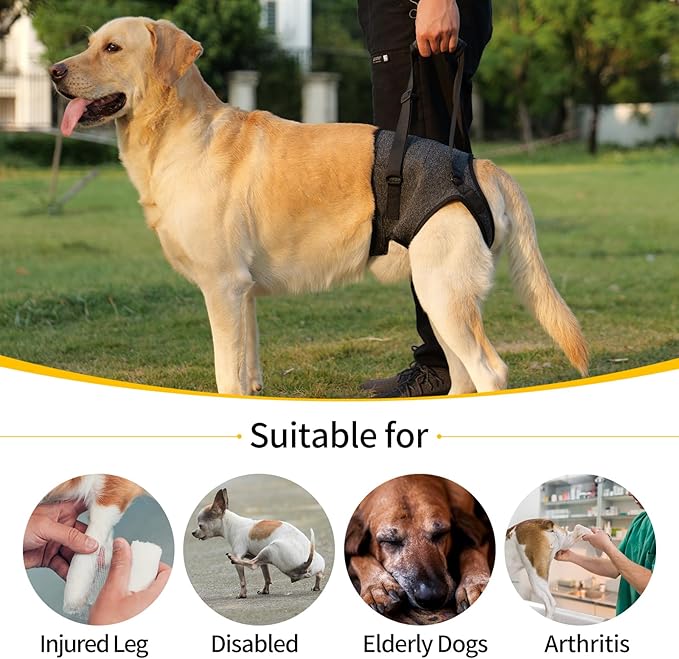 HEYWEAN Dog Sling for Large Dogs Hind Leg Support Harness Ideal for Elderly Injured Arthritic Dogs Provides Rehabilitation Aid for Weak Back Legs Comfortable and Durable Design-Mewly Pet