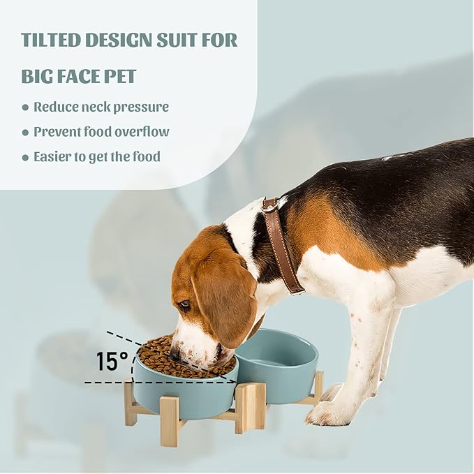 SPUNKYJUNKY 15° Slanted Ceramic Dog and Cat Bowl with Wooden Stand, Tilted Bulldog Food and Water Bowl No Slip Non-Spill for Cats Medium Dogs Big Face Pets 28.7 OZ (3.6 Cups, Light Green × 2)-Mewly Pet