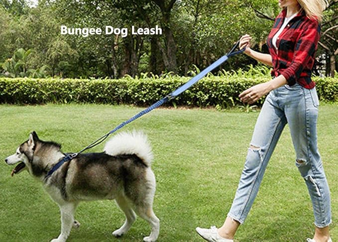 Hands Free Dog Leash for Large Medium Dogs Heavy Duty Bungee Reflective Adjustable Waist Leashes for Walking Running with Car Buckle 4-6FT (Blue)-Mewly Pet