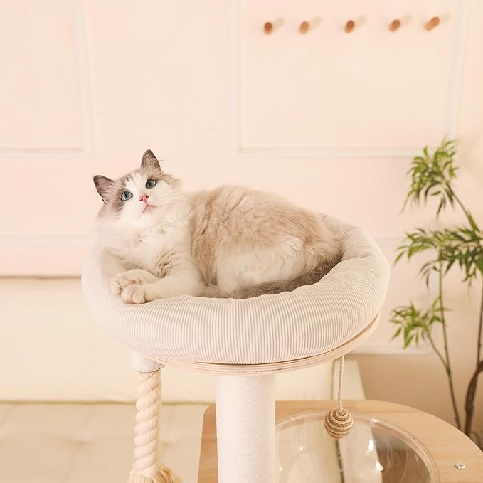 59" Modern Cat Tree Multi-Level Large Cat Tower Heavy Duty Cat Tree with Hammock,Cotton Scratching Post and Washable Cushions-Mewly Pet