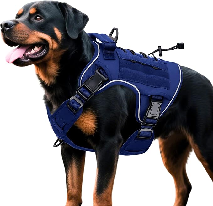 Heavy-Duty Tactical Dog Harness for Large Dogs, No Pull Adjustable Reflective Pet Vest with Molle System, K9 Military-Grade Control for Service Training, Outdoor & 10+ Breeds, Dazzling Blue, X-Large-Mewly Pet