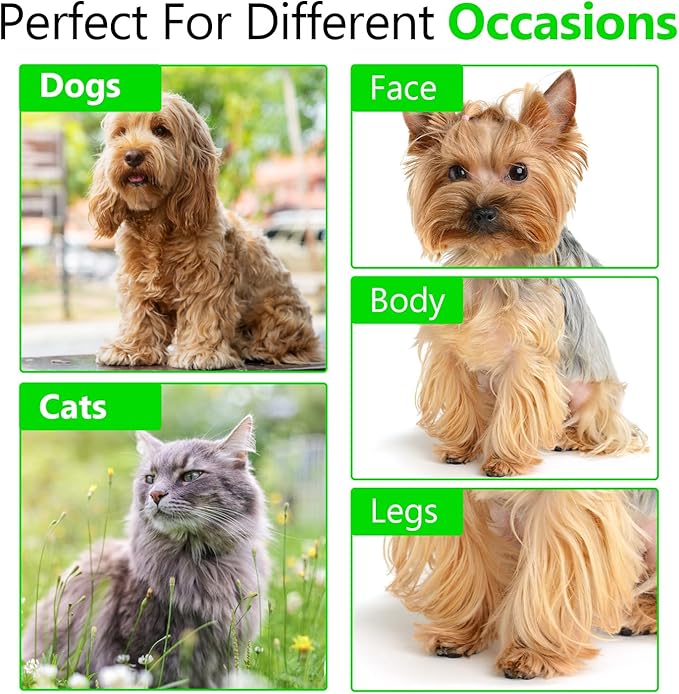 Rounded dog grooming scissors Professional - Sharp Stainless Steel Blades with Colorful Handles, Safe - Easy, Long Lasting grooming scissors for dogs at home (Curved Scissors)-Mewly Pet