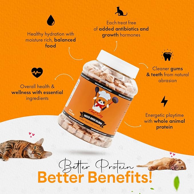 Freeze-Dried Salmon Treats for Cats & Dogs – 100% Wild Caught, Single Ingredient, High-Protein, Healthy Snack – No Additives or Preservatives – 2.6oz - Inspected & Tested in USA-Mewly Pet