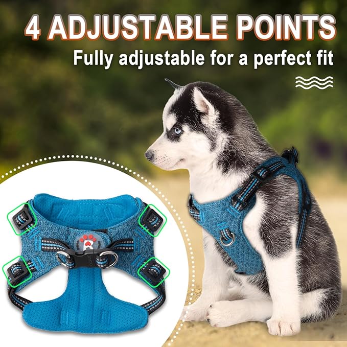 Dog Harness Step in Dog Vest Harness, Reflective Adjustable Puppy No Pull Harness Breathable Soft for Small and Medium Dogs Cats, Blue/Black, S-Mewly Pet