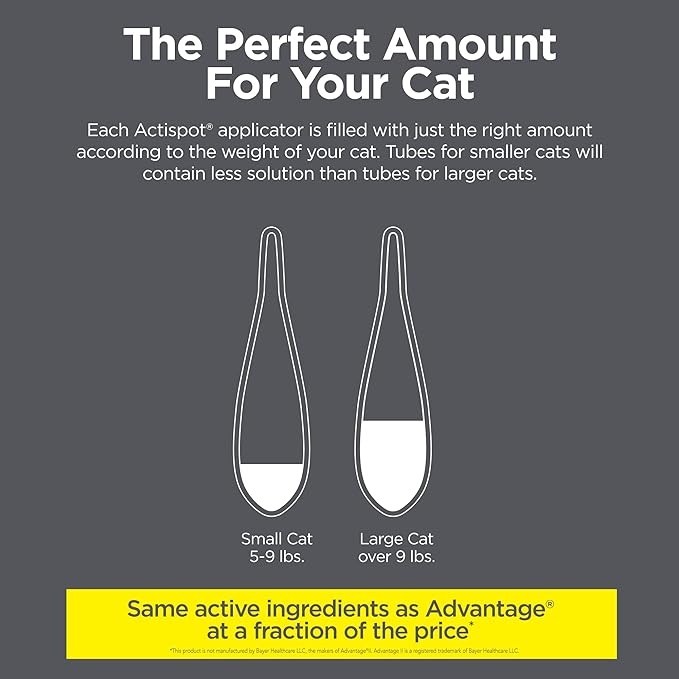 TevraPet Actispot II Flea Treatment for Large Cats 9+ lbs | 6 Doses | Powerful Prevention and Control-Mewly Pet