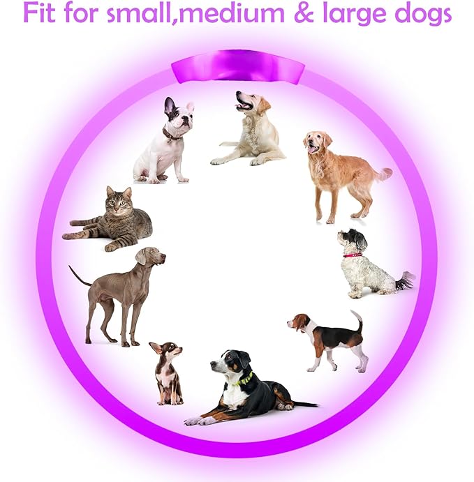 Light up Dog Collar, BSEEN USB Rechargeable Flash Dog Necklace Light, Pet Safety Collar Makes Your Beloved Dogs Be Seen at Night for Small Medium Large Dogs(Purple)-Mewly Pet
