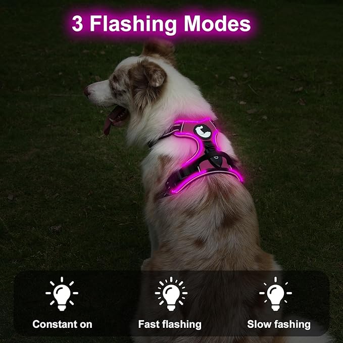 Taglory Light Up Dog Harness, Rechargeable No Pull Dog Vest with 3 Lightning Modes, Reflective Dog Harness with 2 Leash Clips & 4 Adjustable Slide Strips for Medium Dogs, Hotpink-Hotpink, M-Mewly Pet