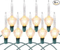 Christmas Bubble Lights - UL Listed 9 Traditional Clear Bulbs with Silver Glitter for Holiday Christmas Celebrations Lighting, Green Wire