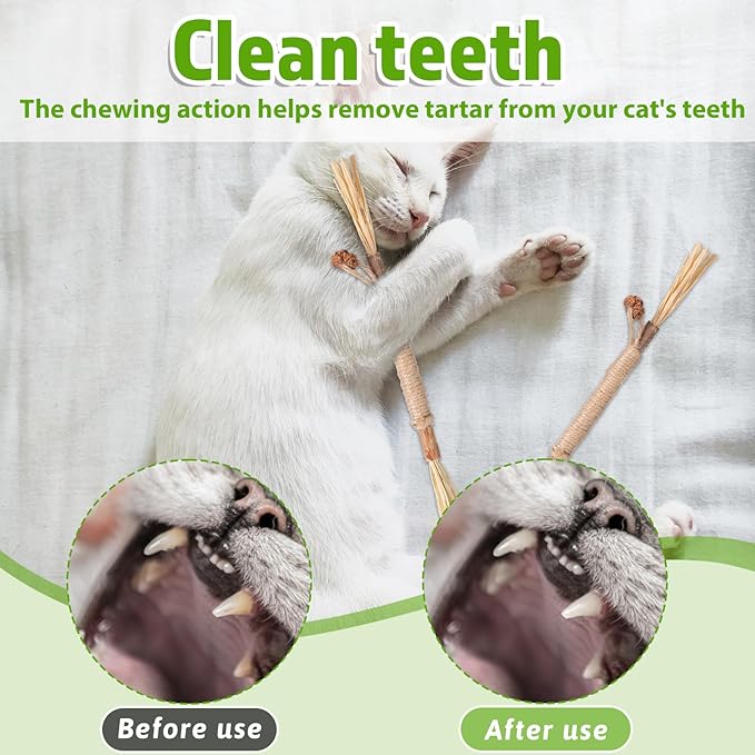 Silvervine Sticks for Cats 8 Pack Natural Cat Chew Toy Teeth Cleaning Edible Matatabi Dental Care Kitty Chew Sticks Catmint Cat Nip Treat Stick for Bored Indoor Kitty Calm Anxiety and Stress-Mewly Pet
