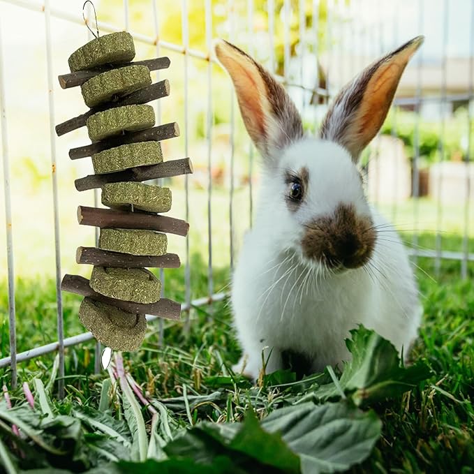 kathson Rabbit Chew Toys,Bunny Grind Teeth 100% Natural Organic Apple Wood Stick Improve Rodent Health Rabbits Hamsters Squirrel Guinea Pig(4 Pieces)-Mewly Pet