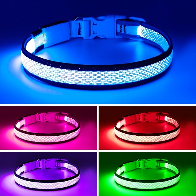 Flashseen LED Dog Collar, Light Up Dog Collar USB Rechargeable, Brightest Dog Lights for Night Walking, Adjustable Dog Collar Light for Dog Safety (Large, Royal Blue)-Mewly Pet
