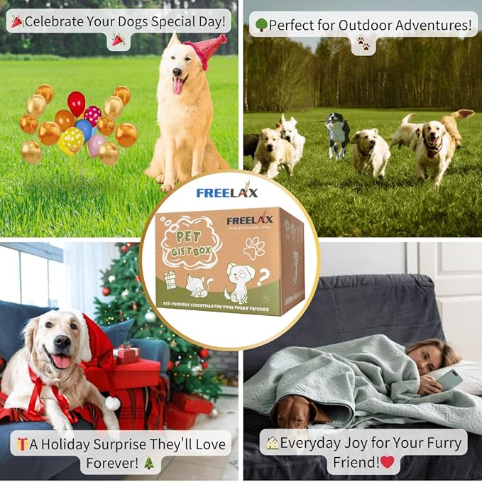 Durable Dog Chew Toys Gift Box – Eco-Friendly Teething Toys for Aggressive Chewers, Plush & Squeaky Toys, Toothbrush, Ideal Gift Basket for Medium & Large Dogs-Mewly Pet