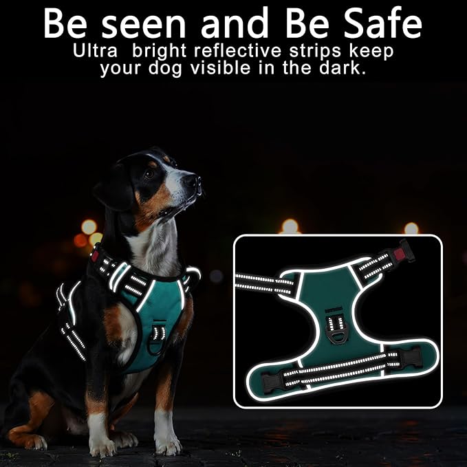 Timos Dog Harness,NO Need Go Over Dogs Head 3 Snap Buckles Pet Harness with 2 Leash Clips,Adjustable Soft Padded No-Pull,Reflective No-ChokeOxford Vest for Small Medium Large Dogs,X-Large (Pack of 1)-Mewly Pet