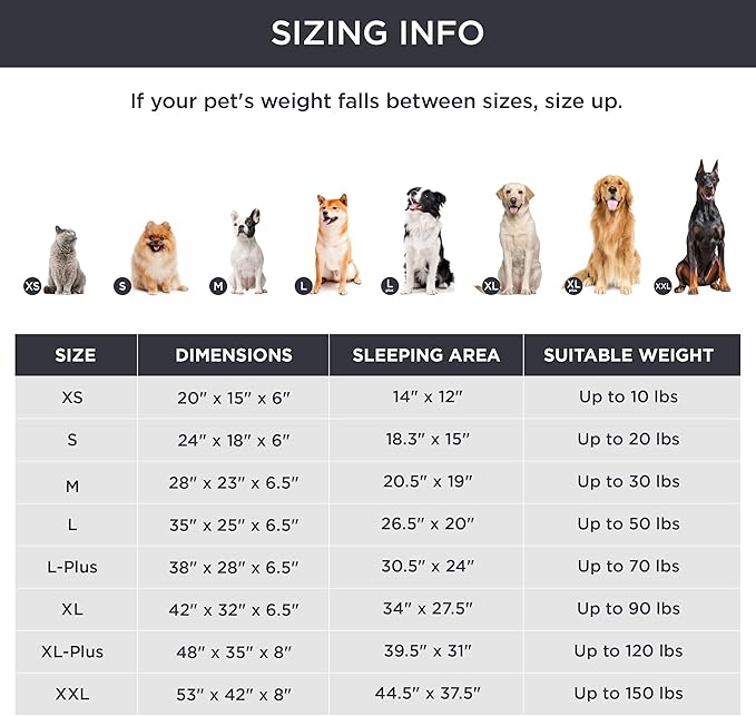 Bedsure Orthopedic Dog Beds for Small Dogs - Washable Small Dog Cat Bed Waterproof, Comfort Pet Couch Sofa with Washable Removable Cover, Pets Bed with Nonskid Bottom, Red, 24"-Mewly Pet