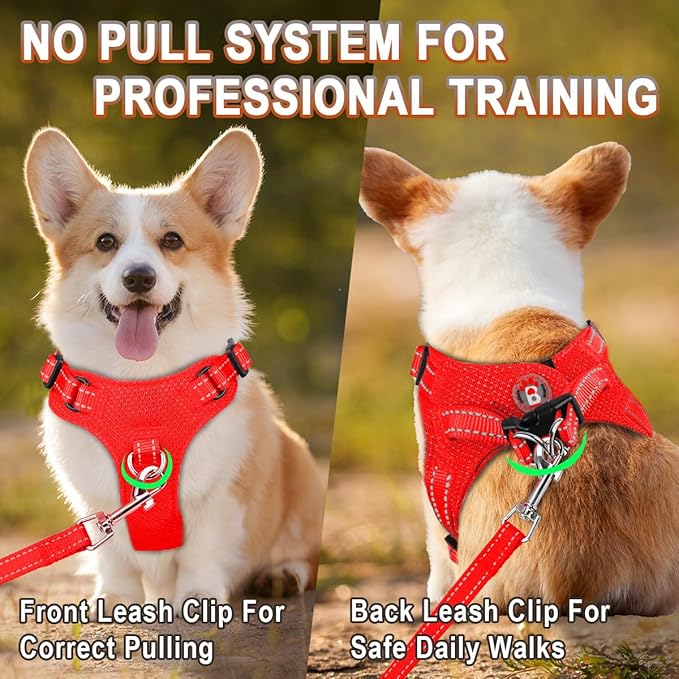 Dog Harness Step in Dog Vest Harness, Reflective Adjustable Puppy No Pull Harness Breathable Soft for Small and Medium Dogs Cats, Red, XS-Mewly Pet