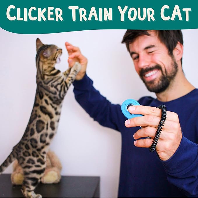 The Click Crusade (Cat Training Card Game Guide to Clicker Training for Cats for Teaching Tricks, Improving Communication and Bonding with Your Kitten (Clicker not Included)-Mewly Pet
