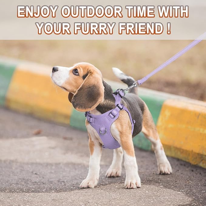 BARKBAY Dog Harness, Reflective Adjustable Puppy No Pull Harness, Breathable Soft for Small and Medium Dogs, Violet Purple, XXS-Mewly Pet