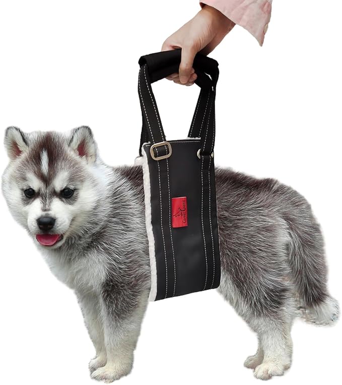 Leather Dog Lift Harness for Small Dogs,Doggie Walking Sling,Puppy Belly Support Strap,Pet Assist Harness for Senior,Injured,Disabled Dogs After ACL Surgery S-Mewly Pet