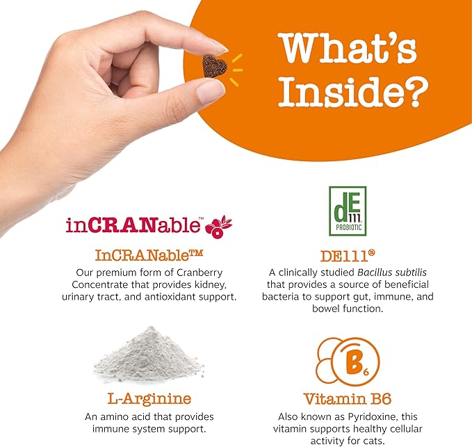 Zesty Paws Cranberry Urinary Tract Bites for Cats - Kidney & Urinary Tract Health - Soft Chews with D-Mannose, Vitamin B6 & L-Arginine - Immune & Gut Support - Bacon - 60 Count-Mewly Pet