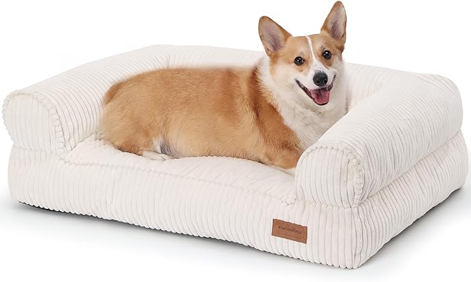 FUKUMARU Cute Dog Bed, Fluffy Pet Bed with TPU Layer Keeping Lining Dry, Dog Couch Medium Size Dogs Easy to Care, Warm Cat Bed with Removable Zipper Cover, 36inch, Large, Cream-Mewly Pet